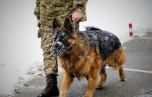 Всі пункти пропуску на Західній Україні працюють цілодобово, чоловіків не пускають