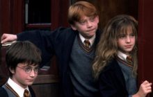 Гарри Поттер с трансами и небинарными персонами: в США задумали снять сериал