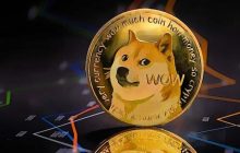 Любимой криптовалюте Илона Маска предрекают нешуточный обвал в 2022 году
