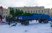 В Кропивницком ветер повалил главную новогоднюю елку города (фото)