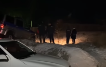 В России собаки растерзали 7-летнюю девочку: в сети собирают группы отстрела (видео)