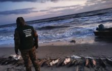 Под Херсоном браконьеры наловили "краснокнижной" рыбы на 4,5 миллиона гривень (видео)