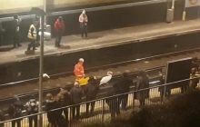 Травмированный лебедь на 1,5 часа парализовал работу метро в Лондоне (фото, видео)