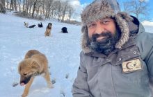 Спасение от слишком холодной зимы: пара из Турции приютила десятки собак (видео)