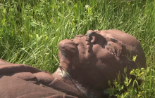 На Черниговщине бронзовый Ленин ушел с молотка за более чем 700 тысяч гривень