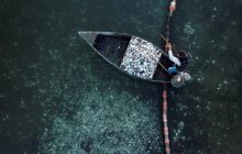 В Греции от морозов погибли тысячи рыб: их собирают тоннами (фоторепортаж, видео)