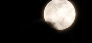 Четыре знака Зодиака почуствуют особенную силу в полнолуние 1 февраля