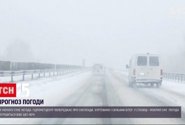 Погода в Украине: на страну надвигаются снегопады, метели и сильный ветер