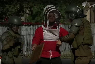 В Чили пчелы помешали полицейским разогнать митинг пасечников (видео)