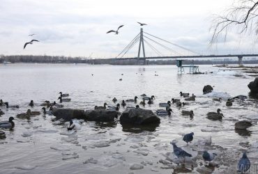 Сьогодні в Києві стане ще холодніше