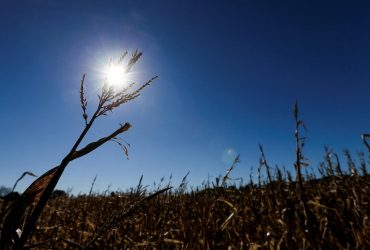 Як зміниться клімат України через 50 років: експерт дала страшний прогноз