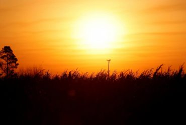 Неминуче: кліматологи попередили про тривожну аномалію 2024 року