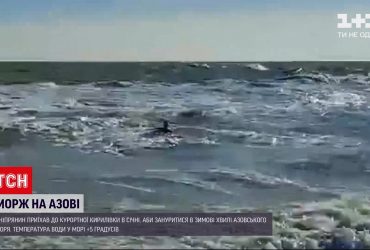 Днепрянин открыл купальный сезон в Азовском море