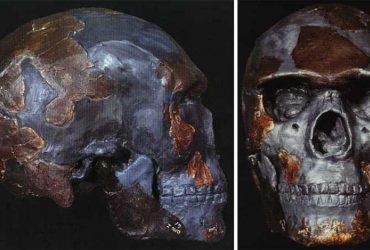 Ученые определили возраст останков древнейшего человека разумного