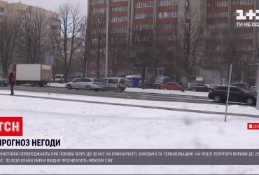 Гидрометцентр сообщает о сильных порывах ветра