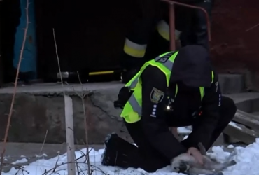 Делали массаж сердца: во Львове полицейские спасли из пожара кошку (видео)