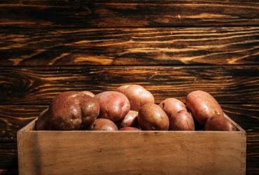 5 лучших сортов ранней картошки в Украине: урожай уже в июле