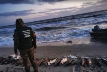 Под Херсоном браконьеры наловили краснокнижной рыбы на 4,5 миллиона гривень (видео)