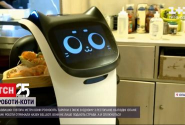 В одном из испанских ресторанов еду разносят роботы-коты