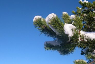 Синоптики повідомили, де в Україні ще втримаються морози до -16°