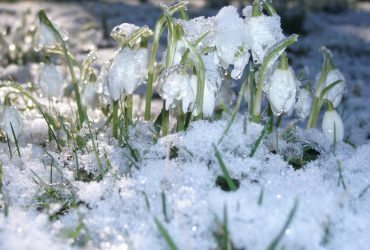 Синоптик о потеплении в Украине: аномалии станут более интенсивными и продолжительными