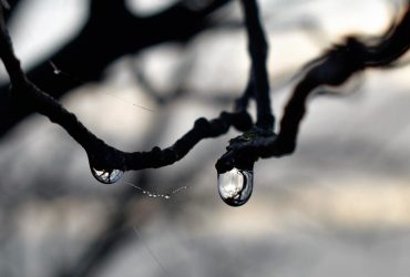 Конец морозам: в четверг Украину накроет потепление с дождями и мокрым снегом (карта)