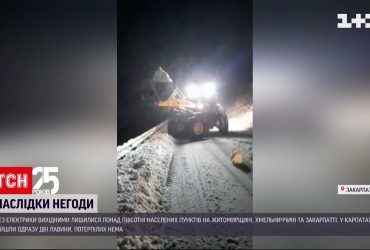 В Закарпатье сошли сразу две горные лавины