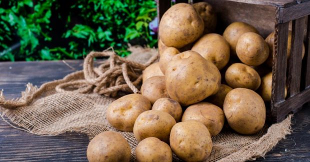 Как хранить картошку в погребе или квартире - полезные советы — УНИАН