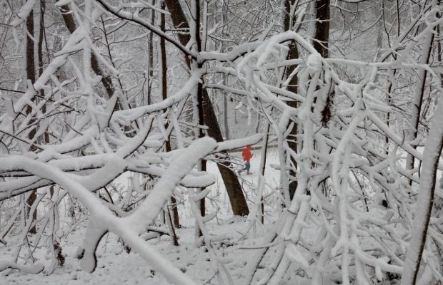 10 січня 2022 - яке сьогодні свято, прикмети та іменинники, що сьогодні не можна робити