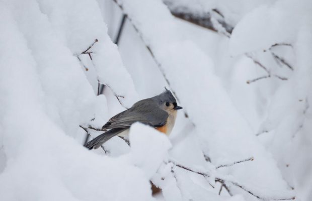 22 січня 2022 - яке сьогодні свято, прикмети та іменинники, що сьогодні не можна робити