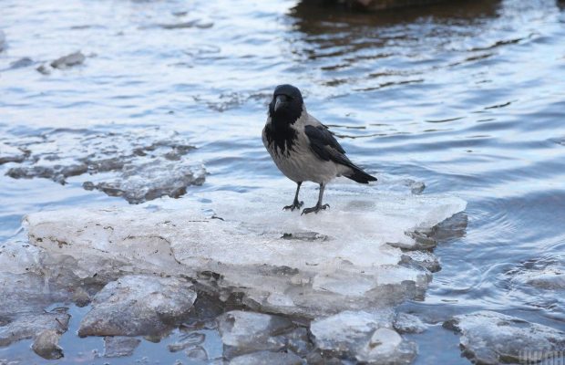 24 січня 2022 - яке сьогодні свято, прикмети та іменинники, що сьогодні не можна робити