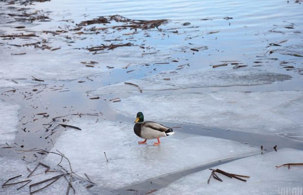 12 січня 2022 - яке сьогодні свято, прикмети та іменинники, що сьогодні не можна робити