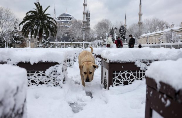 Сильный снегопад накрыл Стамбул: самолеты простаивают более 20 часов (фото)