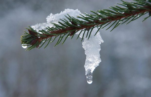 23 февраля: народный праздник, традиции и запреты дня