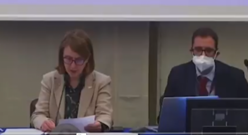 Порно-ролик перервав конференцію італійських політиків у Zoom