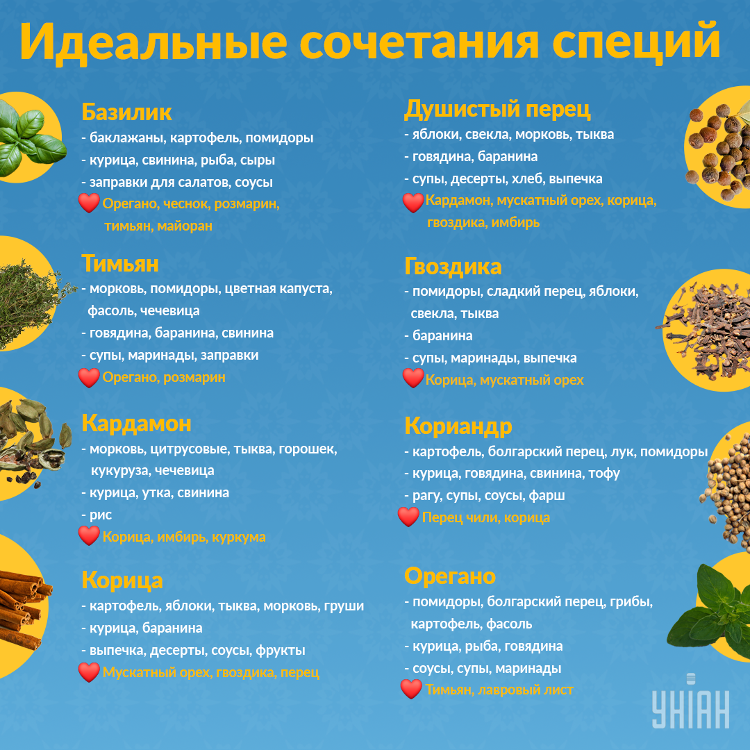 Специи и приправы: разница, польза, сочетаемость с продуктами Специи и приправы: разница, польза, сочетаемость с продуктами