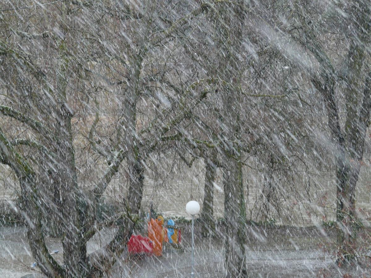 У Харкові сьогодні буде вітер та мокрий сніг / фото pixabay