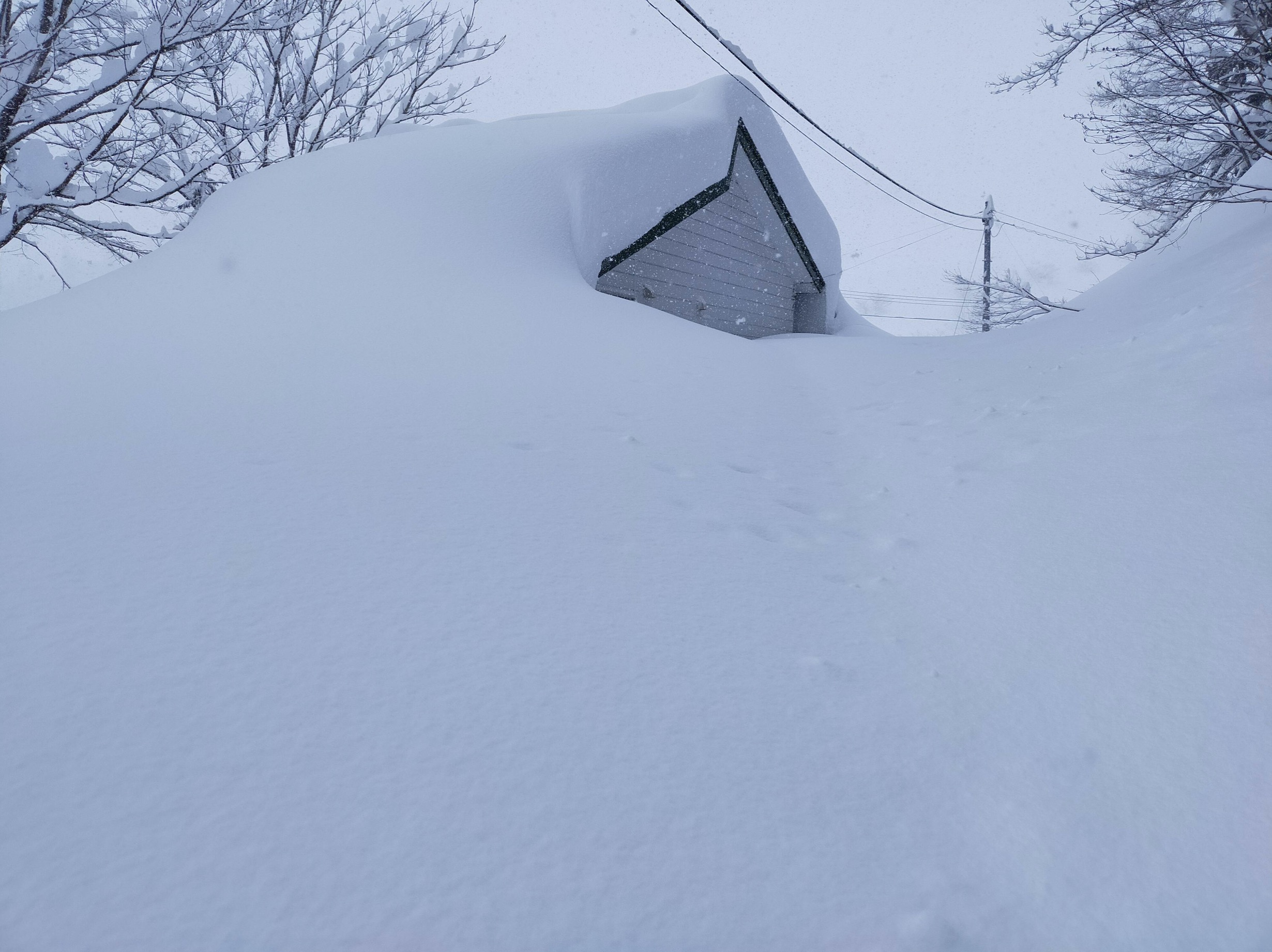 В Японії пройшли рекордні снігопади / фото Thierry Goose, Twitter