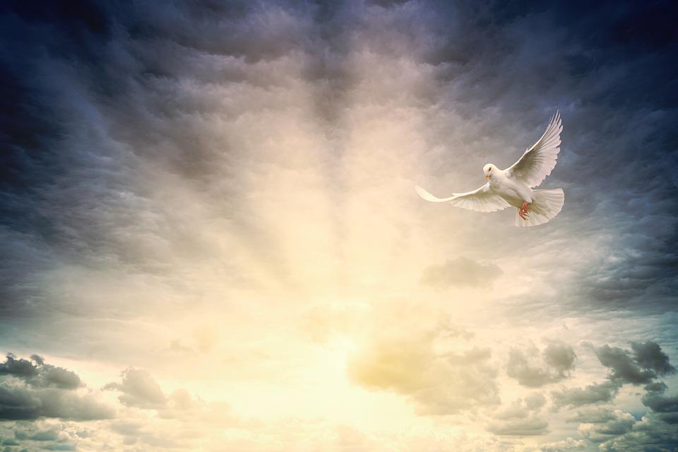 https://images.unian.net/photos/2022_02/1644410657-1390.jpg?r=360664
