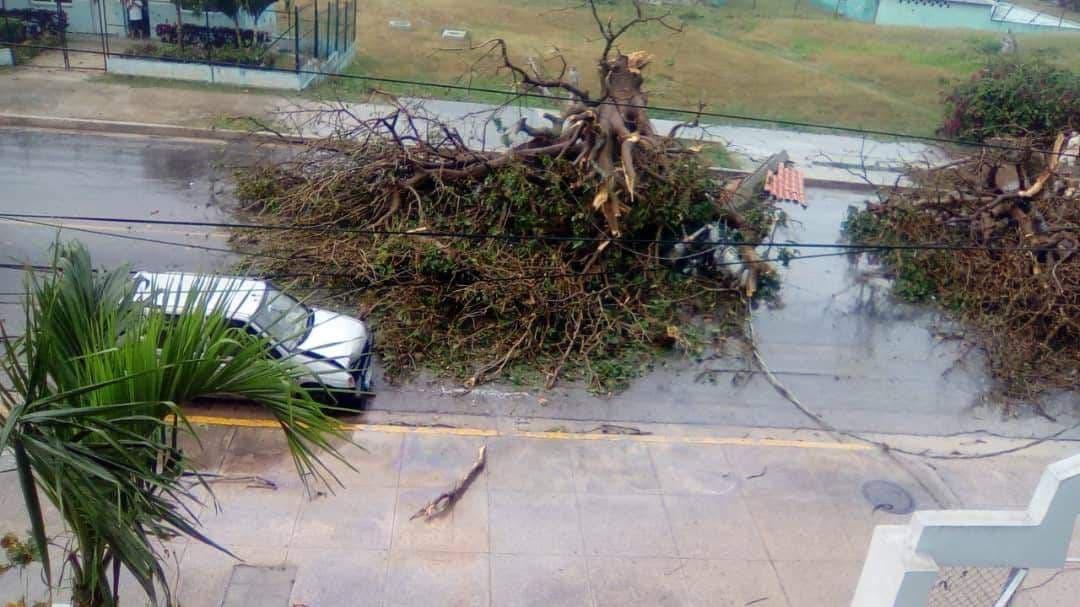 Торнадо повредил дома на берегу / фото cuba.cu