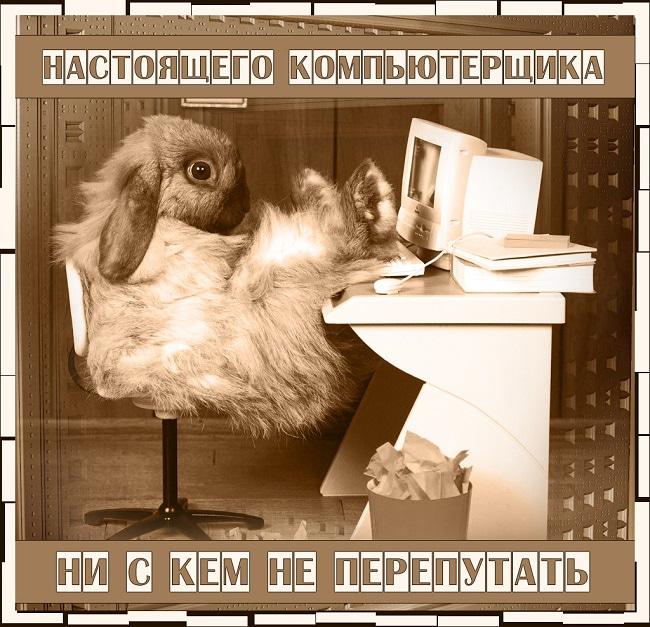 Всесвітній день комп'ютерника / klike.net Всесвітній день комп'ютерника / klike.net