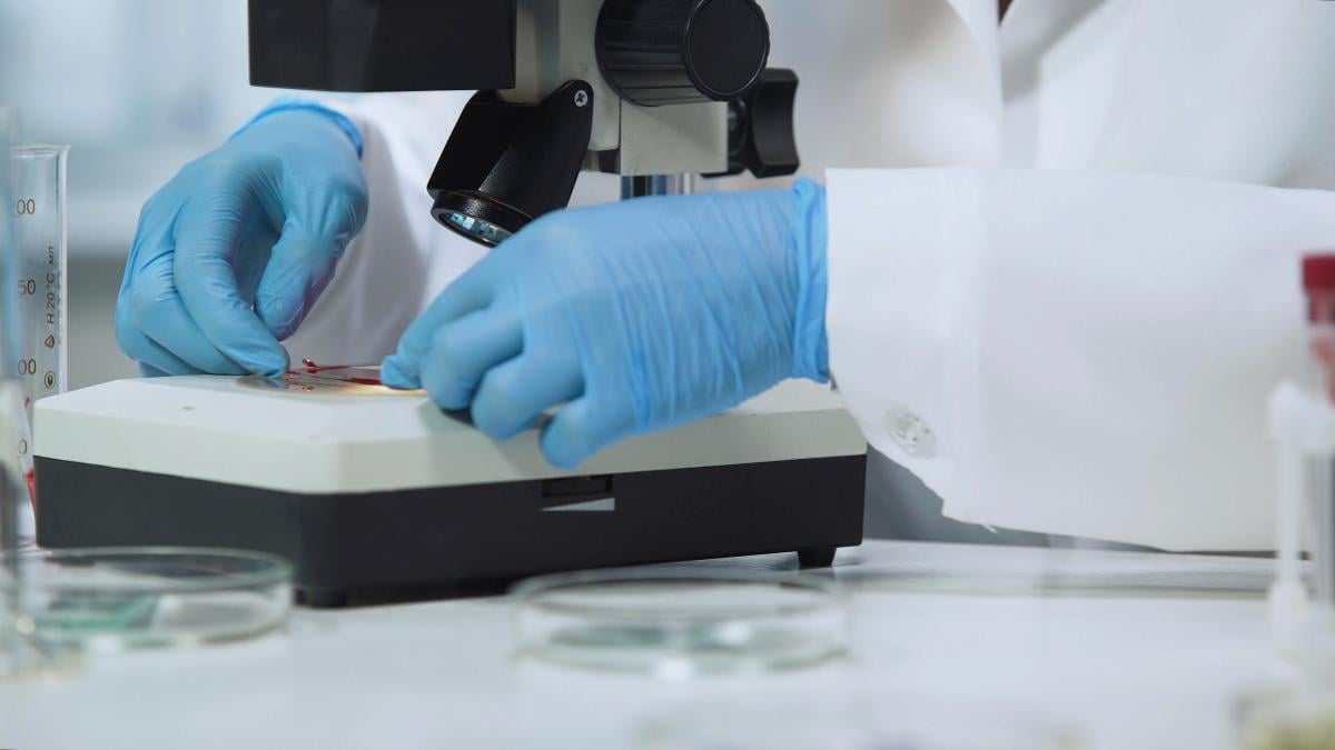 Ієрогліфи найдавнішої мови дуже погано збереглися і майже не дожили до наших днів / фото ua.depositphotos.com Ієрогліфи найдавнішої мови дуже погано збереглися і майже не дожили до наших днів / фото ua.depositphotos.com