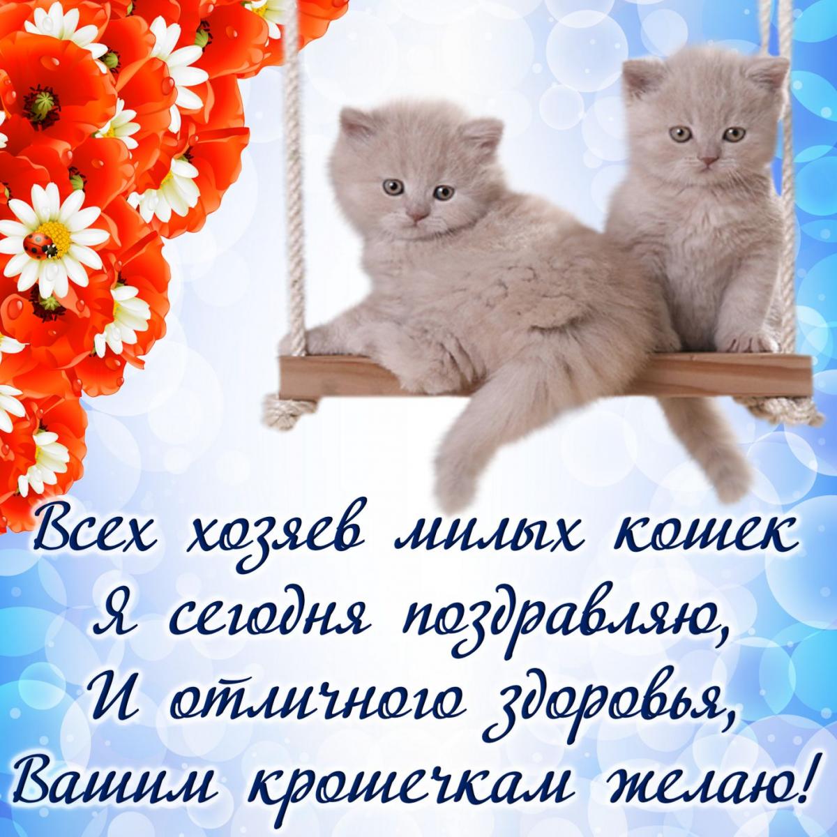 С днем кота 2022 / фото bonnycards.ru