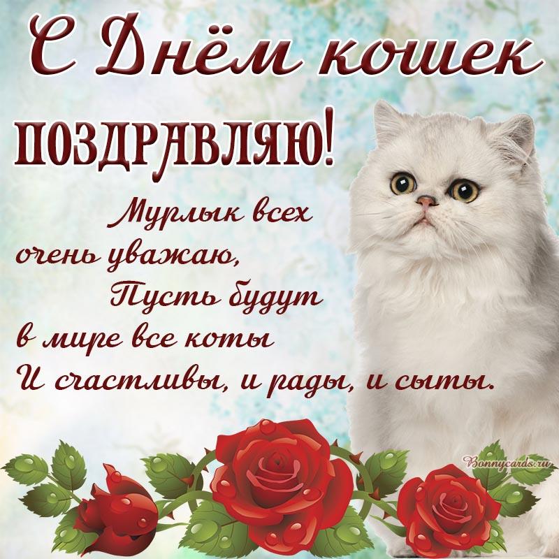С днем кота 2022 / фото bonnycards.ru С днем кота 2022 / фото bonnycards.ru