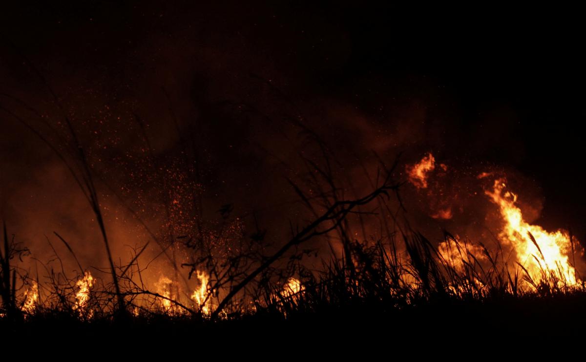 У Києві та області ймовіні лісові пожежі / фото REUTERS У Києві та області ймовіні лісові пожежі / фото REUTERS