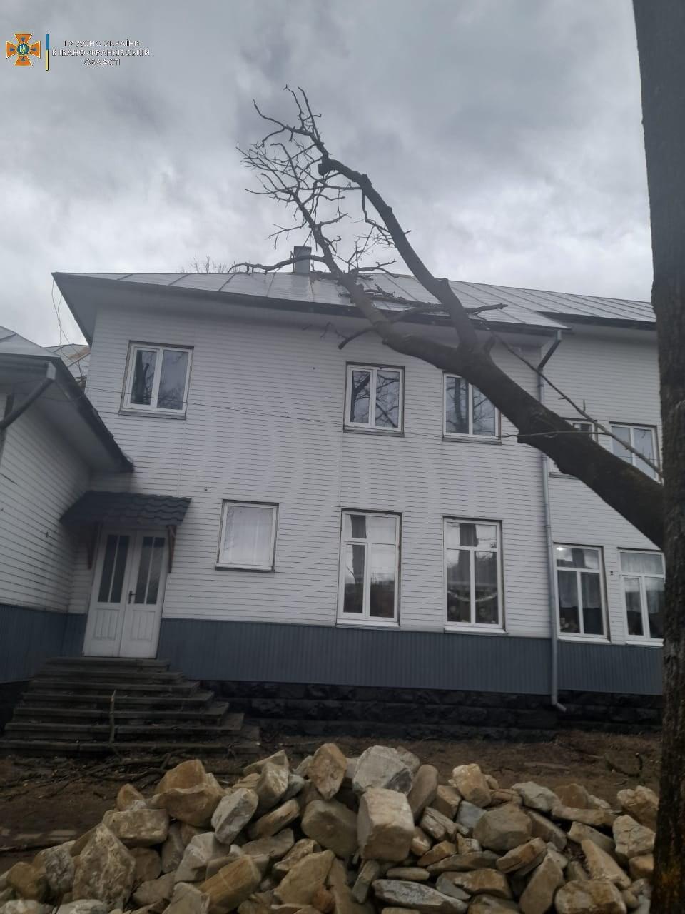 Дерево упало на школу / фото Главное управление ГСЧС Украины в Ивано-Франковской области