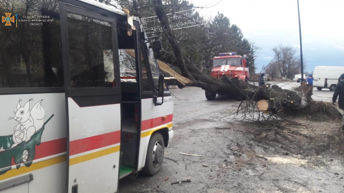 Ветер повалил дерево на маршрутку / фото Главное управление ГСЧС Украины в Ивано-Франковской области