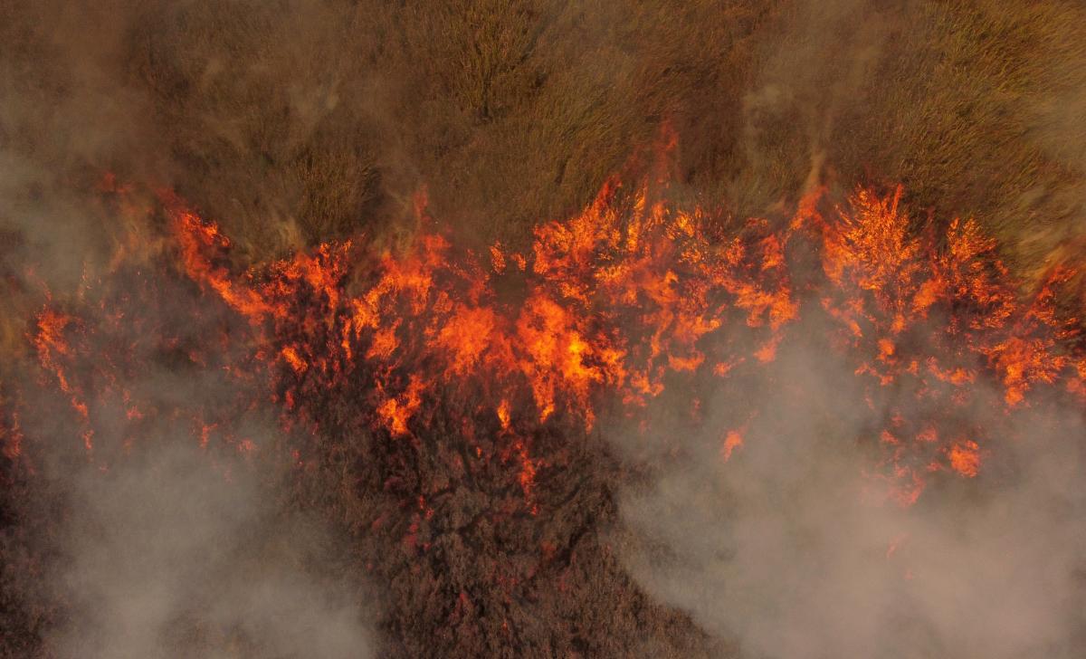В Украине возможны лесные пожары / фото REUTERS