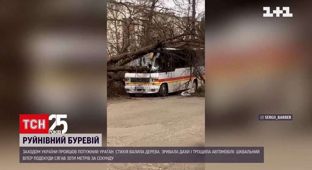 Повалені дерева й зірвані дахи: Заходом України прогналася негода