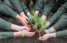 Підприємства Держлісагентства сплатили майже 9 мільярдів податків у бюджет за 2021 рік